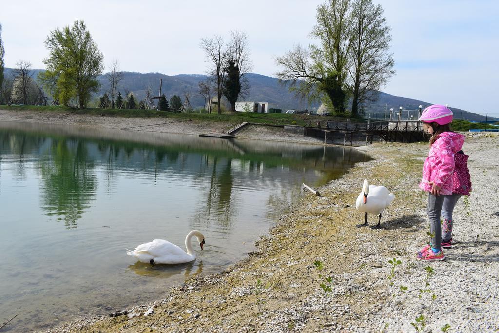 Borovnica Catez Apartment Catez ob Savi Luaran gambar