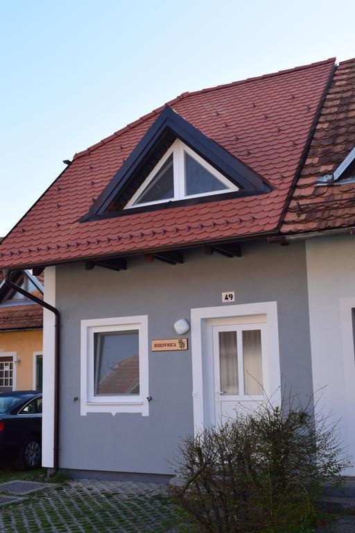 Borovnica Catez Apartment Catez ob Savi Luaran gambar