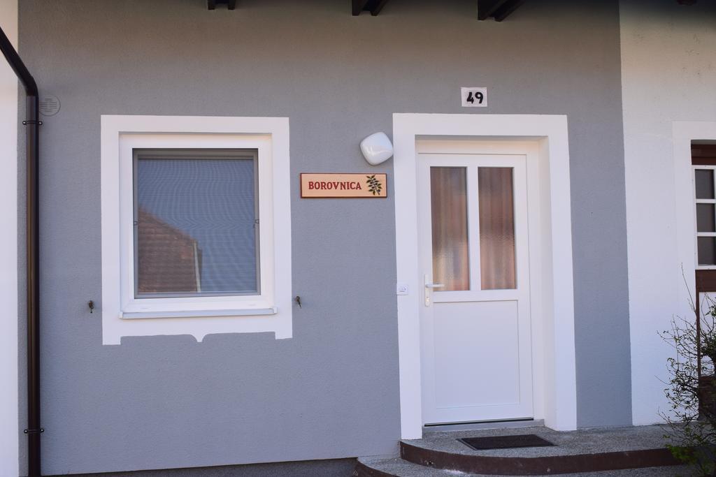 Borovnica Catez Apartment Catez ob Savi Luaran gambar